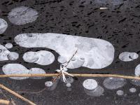 Ovale und runde Lufteinschlüsse in Eisdecke am Bärnseebach